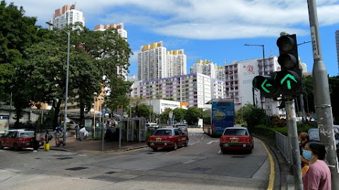 翠逸豪園 2期數