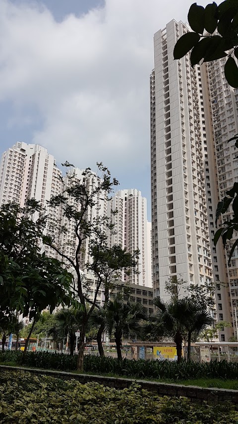 栢慧豪園 1期數