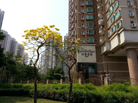 栢慧豪園 1期數